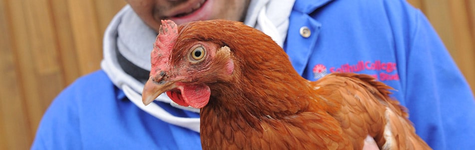 Student holding a chicken